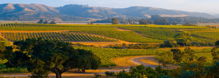 Sonoma County